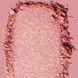 Тени для век Paese EYEGASM TOPPER - №22 (Mist) 5902627629822 фото 2/3